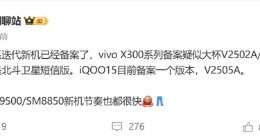 vivo X300系列已备案：全球首发天玑9500