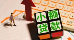 监管批复1亿资金，数融小贷却被指“双面操作”？旗下榕树贷款乱象引质疑