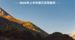 零跑汽车累计交付量突破90万台，上半年度已实现盈利