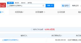 李易峰及名下公司等被执行4990万 李易峰及名下公司成被执行人