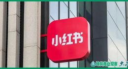 小红书首页，推荐的不只是种草，还有涉黄招聘、诈骗链接与偷拍设备