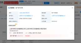RNG关联公司申请破产审查 RNG关联公司申请破产