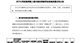 “中介巨头”变局：我爱我家上亿股权法拍，实控人谢勇缺钱？