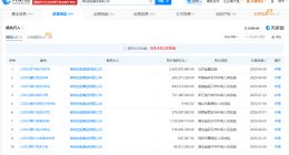 绿地控股集团等被执行25.5亿