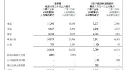 华润啤酒半年报背后：“啤+白”还是一步好棋吗？