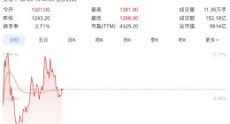 新高之后又新高 寒武纪股价涨破1300元