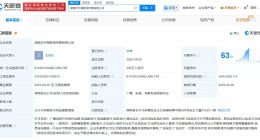 李湘与王岳伦再成立新公司 李湘与王岳伦共同关联2家公司