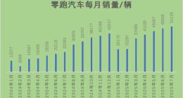 零跑霸榜销冠5个月，“半价理想”能支棱多久？
