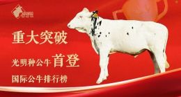 光明乳业2025半年报：基本盘稳健，经营韧性十足