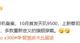 vivo X300系列已备案：首发天玑9500 配全新蔡司镀膜