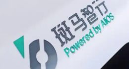 斑马智行IPO遭前CFO“拆台”，背靠阿里上汽三年亏26亿