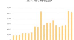 嘉银科技：千亿规模下的大面积投诉、高利率与合规困局