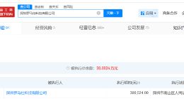 罗马仕被执行30万 罗马仕因劳动合同纠纷案被执行