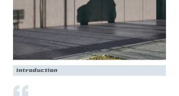 吉利冲300万，smart目标却减半！易寒放下大车执念押宝“剁椒鱼头”