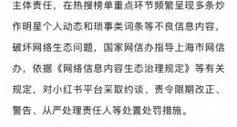 网信部门依法查处小红书平台破坏网络生态案件