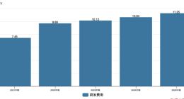 用友网络：裁员难止亏损，云服务收入下滑，赴港IPO藏隐忧