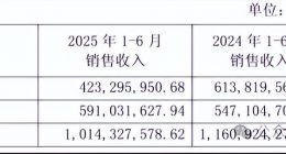 亏损加剧、屡遭投诉，《浪姐》加持下的香飘飘如何突围
