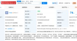 京东入股人形机器人研发商帕西尼