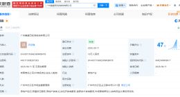 富力地产在广州成立投资咨询公司