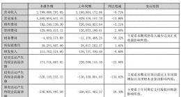 营收净利双降、投诉量高企，华帝股份的“高端叙事”还能走多远？
