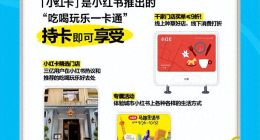 小红书推出小红卡，是创新、还是病急乱投医？
