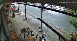 长城“欧拉”撞向路边民房致3人受伤，司机称刹车失灵方向锁死，售后：可自行委托鉴定