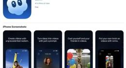 苹果下架大量山寨OpenAI Sora应用