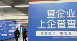 毛利率超90%，“数据茅”为何急着上市？