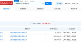 李嘉格持股公司被执行 李嘉格持股公司被执行220余万