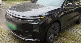 理想L6车主：刹车制动失灵 理想售后：刹车踩轻了