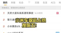 海报观察丨有一种汽车事故叫做“小米事故”