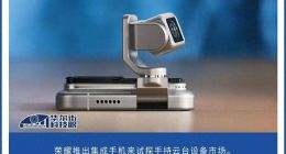 急于IPO的荣耀，开始“邪修”