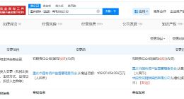 中国宝武入股重庆钢铁集团