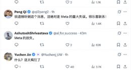 独家揭秘Meta AI大裁员：Llama 4落后DeepSeek的恐慌