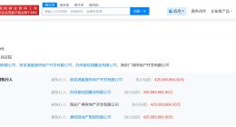 碧桂园地产集团等被执行4.2亿