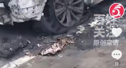网传长城哈弗猛龙突发自燃 几分钟烧成灰烬空壳