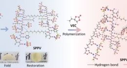 清华团队把大豆做成固态电池电解质，高温下耐用还环保