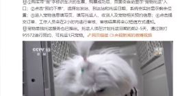 铁路12306 App购票页面上线“宠物托运”功能，全国40座高铁站可办理