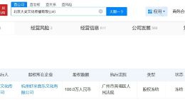 大麦文化传播公司被冻结100万股权