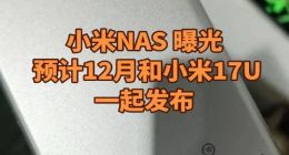 小米智能存储即将登场：双盘位NAS瞄准年轻用户，深度整合米家生态