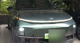 理想L9智驾时出事故，车主大喊自己无能力避险