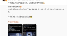 小米大家电出海元年成绩斐然：欧洲市场扩张加速，全球布局提速