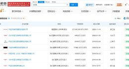 王中磊商业版图盘点 王中磊近期被法院执行2.8亿