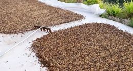 不参与外卖大战、不蹭大模型热度，这半年拼多多都在干这件事