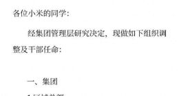 小米公关部换帅背后，“雷氏营销”遭遇口碑危机