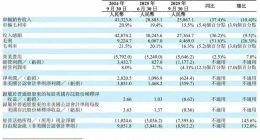纯电与全球化，理想都要