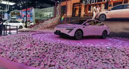 周锋该醒醒了！日产N6：站在N7的废墟上，它能走多远？