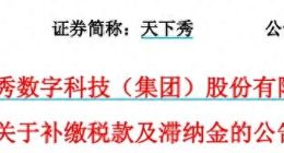 天下秀，2500万补税公告语焉不详，这样的信披质量也算合格？