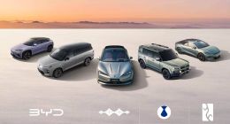 比亚迪11月销量突破48万辆，海外同比暴涨297%