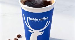 瑞幸咖啡再上市：营收向左，利润向右